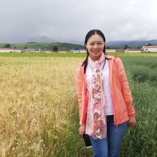 【青春语文•陈荔课堂教学研究（一）】