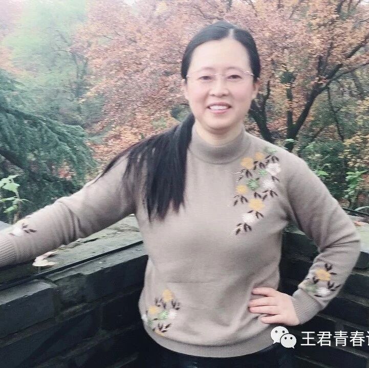 【青春语文•张娟群文教学研究2019第2篇】强化整合意识，提高思辨能力——评王君老师《小王子》课堂实录
