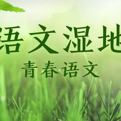 【青春语文.刘菊芬专栏】做一个听“话”的语文人——读《文章讲话》有感】