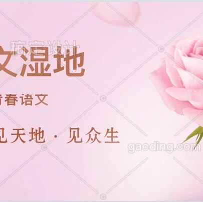 【青春语文  王俊芳课堂实录研究】借由“跳板”走向广阔的阅读天地——《蝉》自读课创意设计