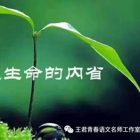 【青春语文·海波有效教学案例研究三十八】 “借别人的树，开自己的花”