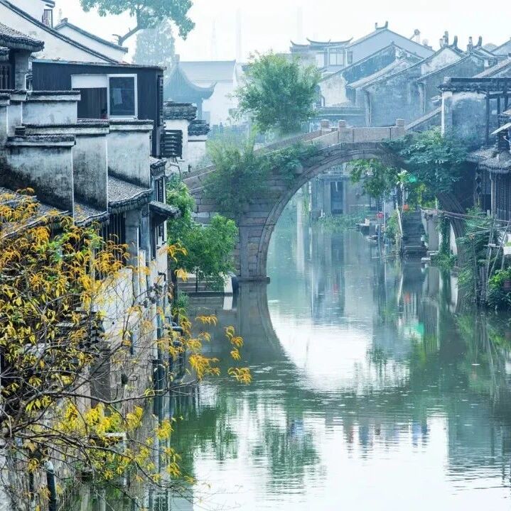 【青春语文·燕芳专栏】文笔动起来，比看上更有意思