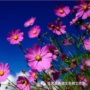 【青春语文 翠红作文教学研究（5）  】作文教学中学生思维深度的培养例谈