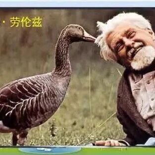 【青春语文@庆华专栏】读比皆言趣，品写传“笑谈”《动物笑谈》教学设计