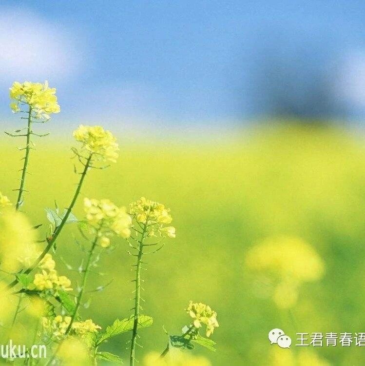 【青春语文•严文君课例研究十一】爱要怎么说出口——《傅雷家书》诵读型教学设计