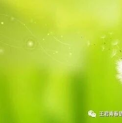 【魏志强青春语文文本解读与教学设计（三十五）】说明文教学浅谈1（修改版）说明文教学浅谈一（修改版）