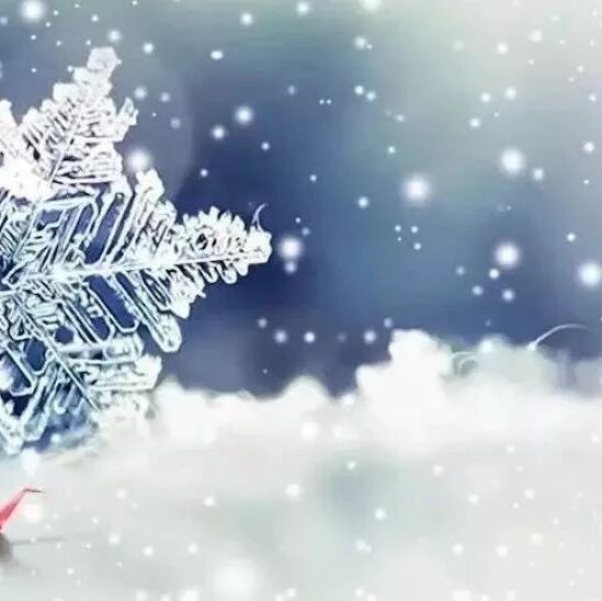 好将一点红炉雪 散作人间照夜灯——评周忠玉老师《只有香如故》课例