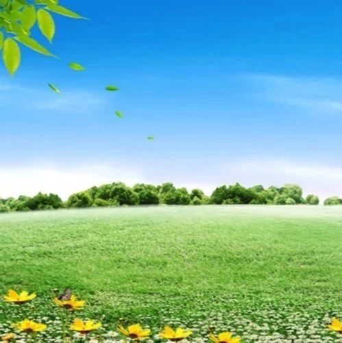 【青春语文·建红专栏】（二十六）