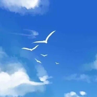 【青春语文•海波读书•美学系列五】云在青天水在瓶