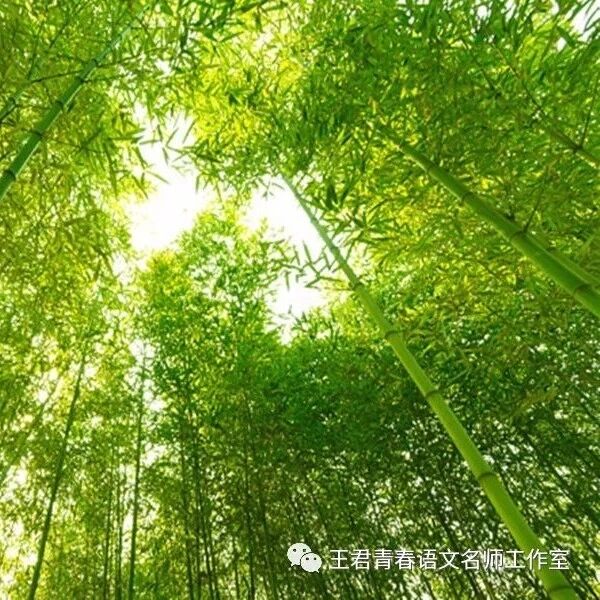 【青春语文•忠冕课外群诗研究】课外群诗课是如何产生的