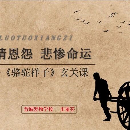 【青春语文•史丽芬整本书教学研究50】爱情恩怨 悲惨命运——《骆驼祥子》玄关课