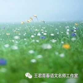 【青春语文∙谢德志班主任工作拾趣（五）】