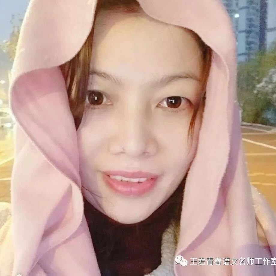 【青春语文·周忠玉古诗文教学研究（十三）·似曾相识燕归来】