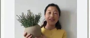 【青春语文·米音专栏】《猫》：最后的目击者为什么是李妈？