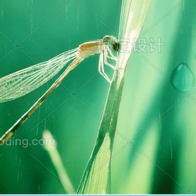 【青春语文.刘菊芬语文教学点滴思索】翻转课堂，让我们一起飞翔