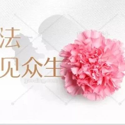【青春语文·黄友芹首届“语参杯”参赛课例】《带上你的眼睛》设计解读和教学反思