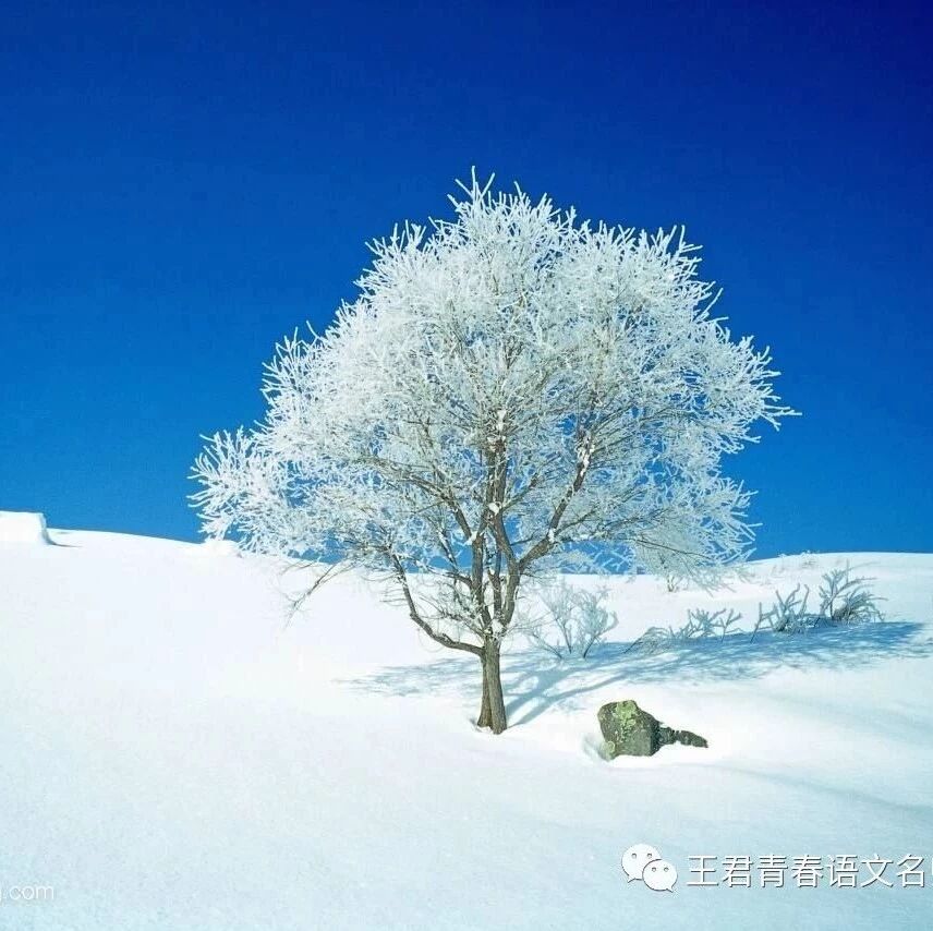 【青春语文•张绪凤关于名师语文教学研究（十 六）】用语文的方法教语文 ——以黄厚江的《白雪歌送武判官归京》教学为例