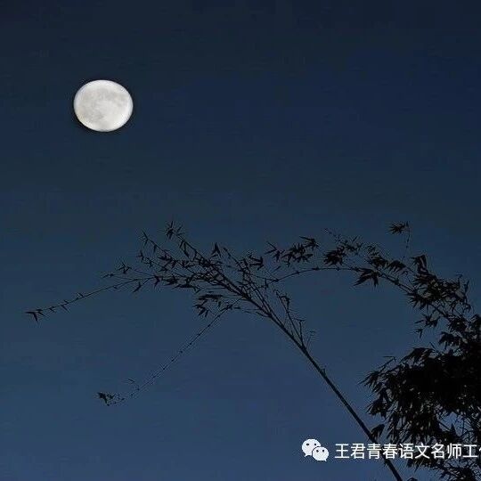 【青春语文·孙秋备课内整合教学研究21】“独”与天地精神往来--《月下独酌》《月夜》《竹里馆》整合教学设计
