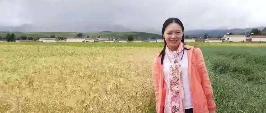 【青春语文• 陈荔 综合性学习教学研究七】承前启后薪火相传《综合性学习——身边的文化遗产》综合实践活动