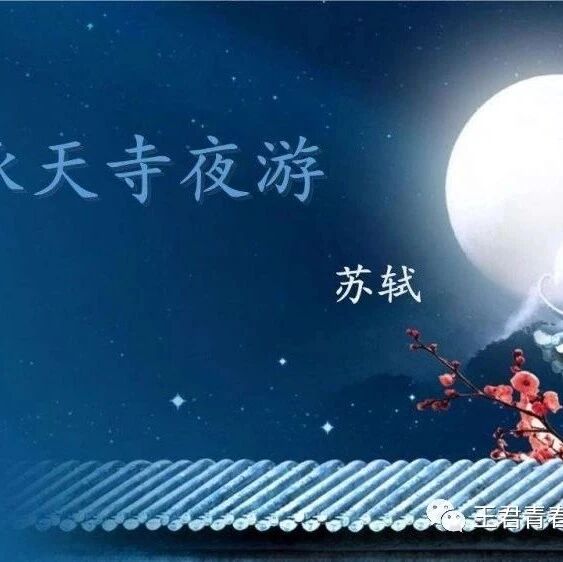 青春语文·陈晓东一语立骨研究（30） 怎一个“闲”字了得！