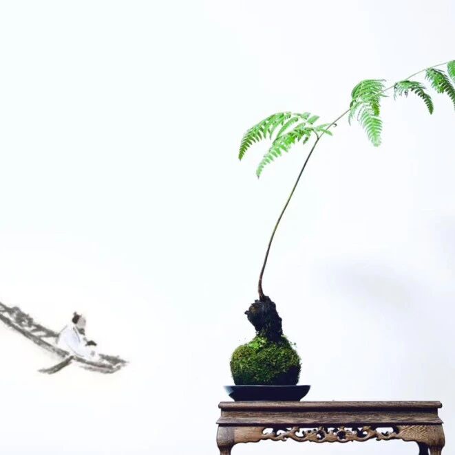 【青春语文•海波读书之美学系列三】生命美丽的时候，世界才是美丽的