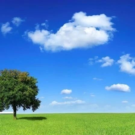 【青春语文·时慧慧写作教学研究7】景语情语也可有理 ——写景微写作方法探究教学设计
