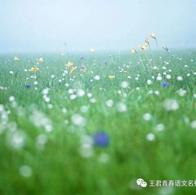 【青春语文 · 谢德志  文本解读与教学设计】《昆明的雨》课堂实录