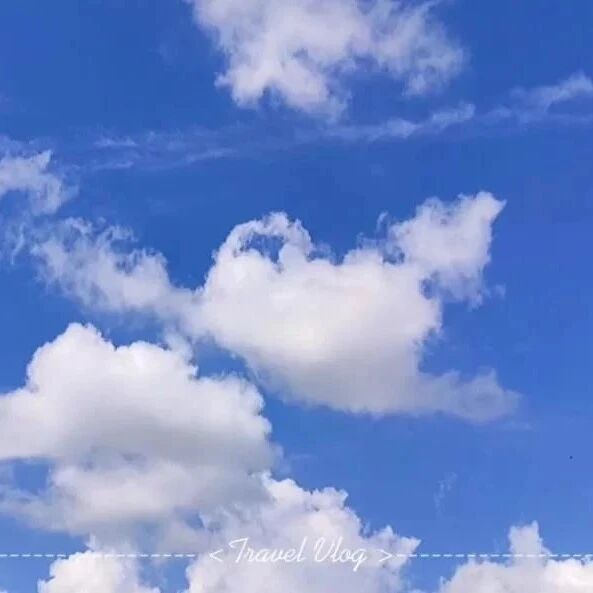 青春语文•海波教学思】以中考为例，看散文阅读