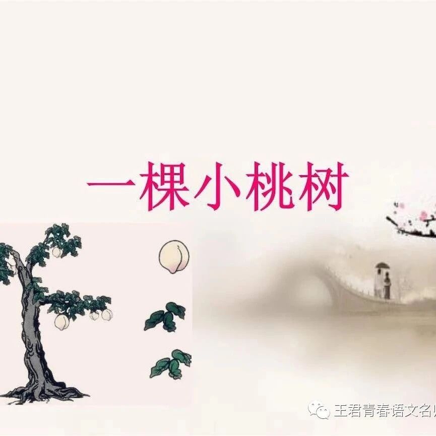 【青春语文@罗云斌课堂实录之九】一花一世界，一树一情怀——《一棵小桃树》课堂实录