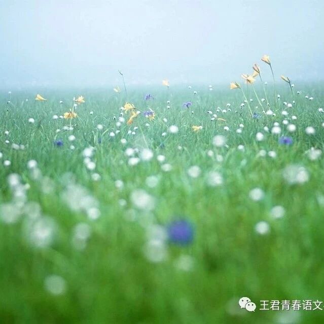【青春语文∙谢德志班主任工作拾趣】静静地陪伴   默默地守望