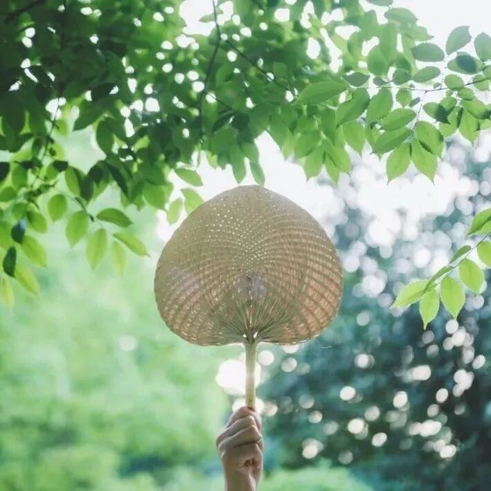 【青春语文·淑亚专栏】静里乾坤