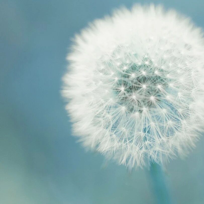 【青春语文•淑亚专栏】好“语”知时节，当春乃发“声”