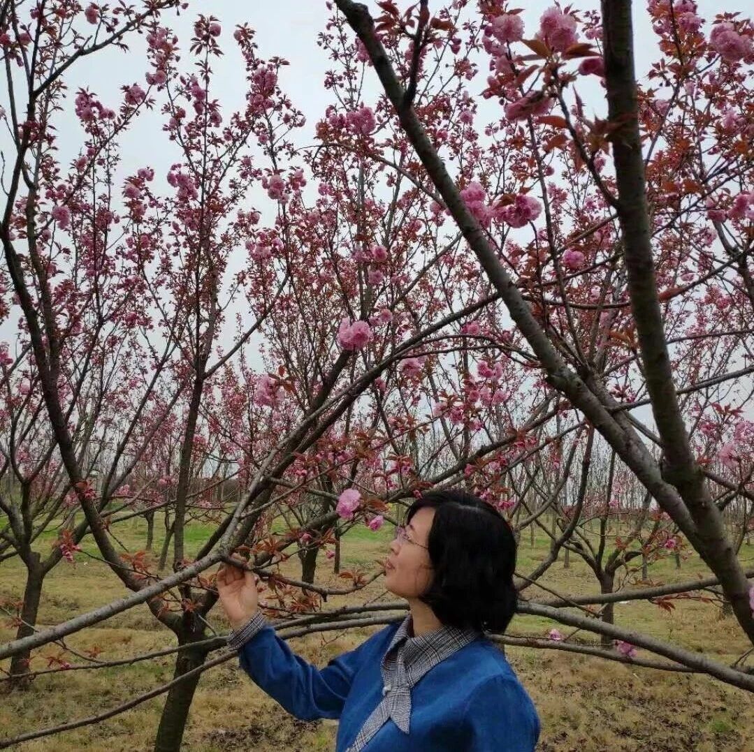 【青春语文•张娟名师课堂研究】课堂深深深几许  ——品读肖培东老师的《应有格物致知精神》教学镜头