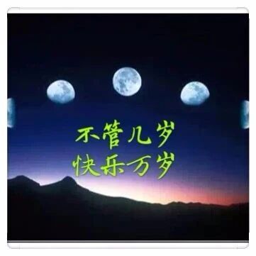 【青春语文·海波随笔】水边清浅横枝瘦，明月不胜愁