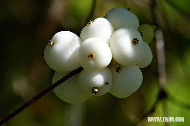 周公解梦：梦见和已故的人说话（周公解梦梦见和已故的人说话 原文）