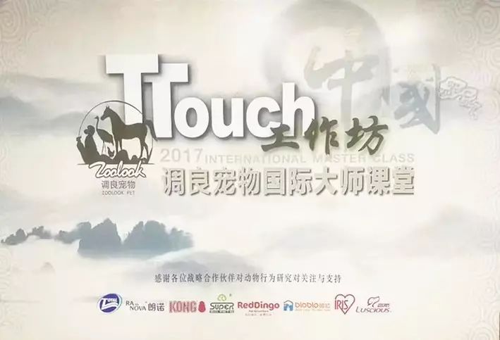 2017TTouch工作坊正式開課！