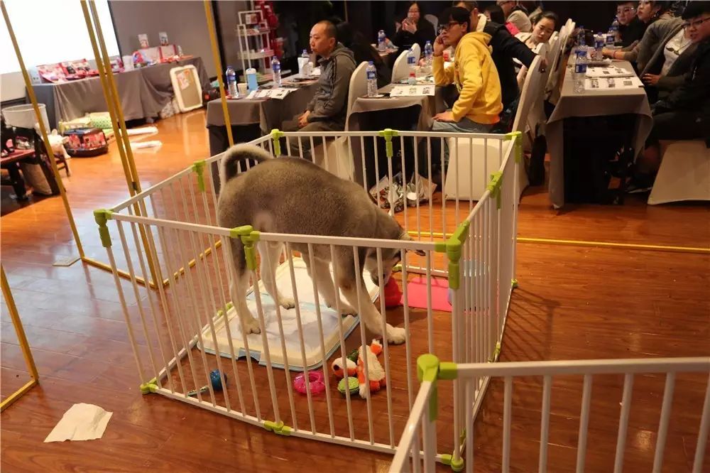 《调良·巡回课堂》第一站圆满结束！