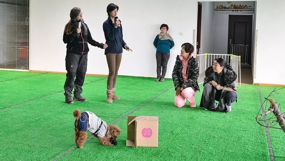 “心智刺激”释放深藏在内心的那只真狗！