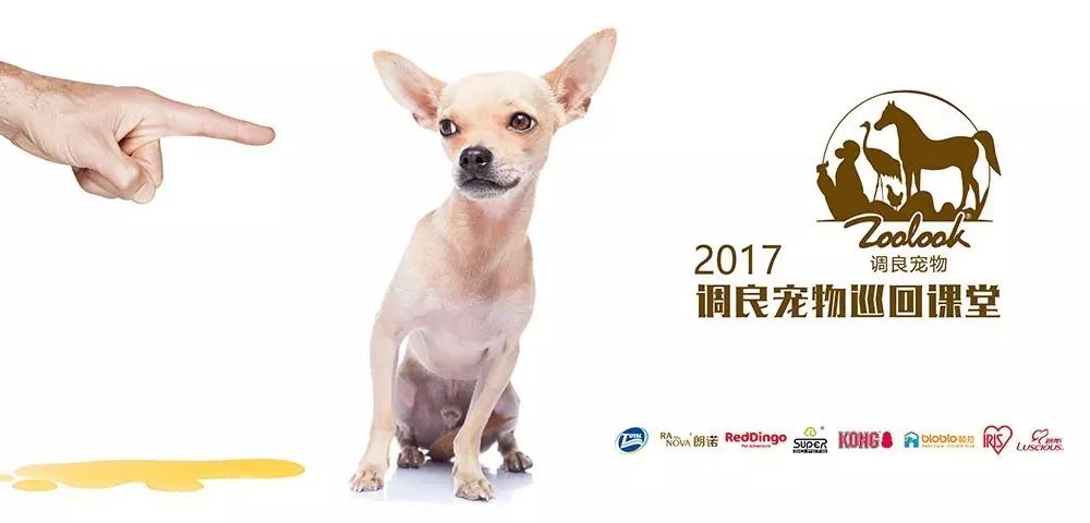 《調(diào)良·巡回課堂》北京站報(bào)名了！