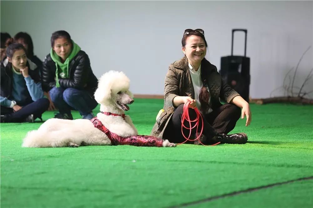 嗅闻专业课，你意想不到的课程！