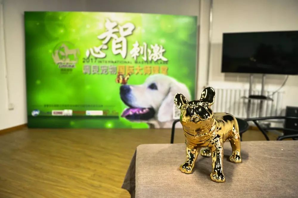 嗅闻专业课，你意想不到的课程！