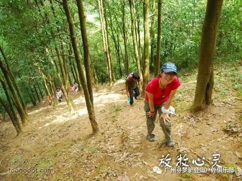 (5)【免费活动】8.25（周六）广州经典火凤线拉练徒步-户外活动图-驼铃网
