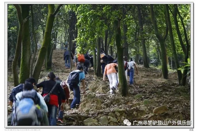 (7)【免费活动】8.25（周六）广州经典火凤线拉练徒步-户外活动图-驼铃网