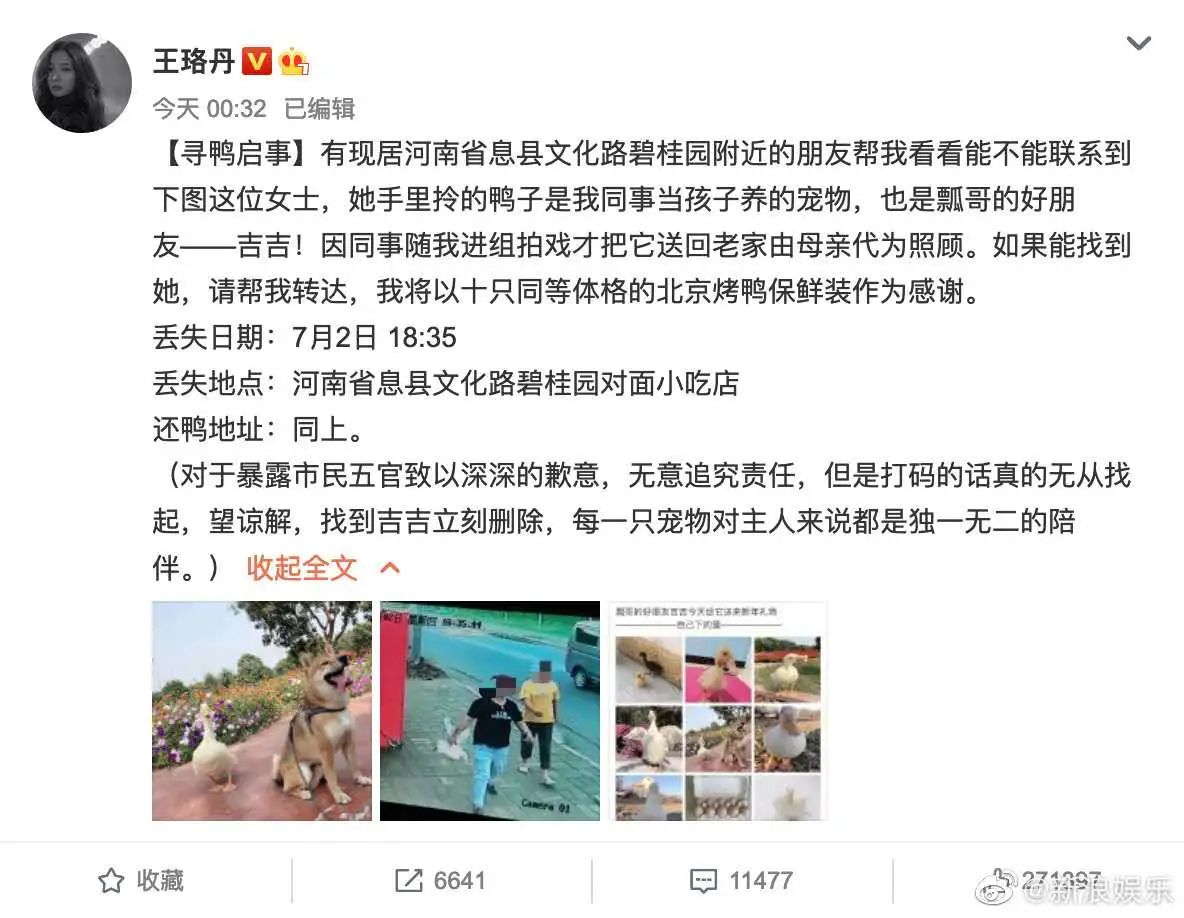 王珞丹呼吁保护野生鸟类