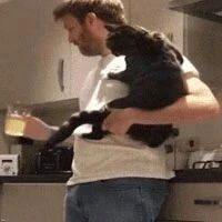 这猫太乖了，男子只要轻轻一拍，它就懂了要做什么！