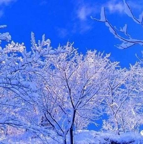 天寒地冻，中老年人务必警惕！【新民健康】