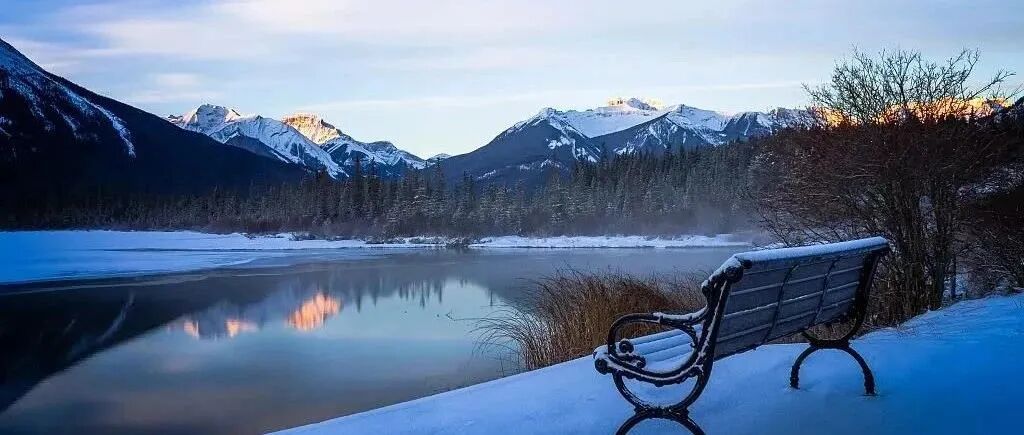 独处，是一个人的清欢