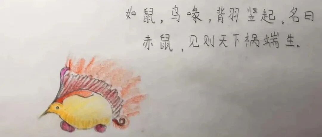 【青春语文·谭秀琴专栏】稀奇古怪“山海经”（1）