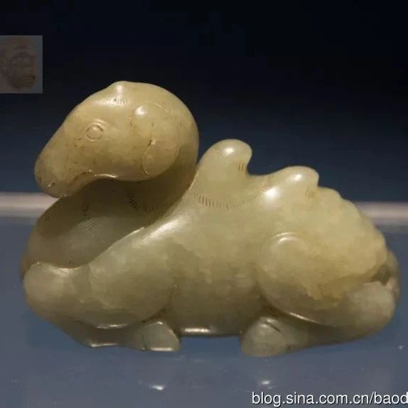 cover_image