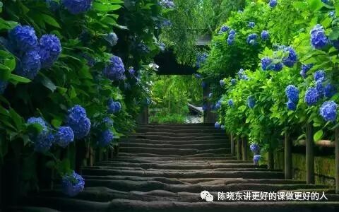 【青春语文•晓东专栏】父亲为什么迈不过“台阶”那道“槛”？